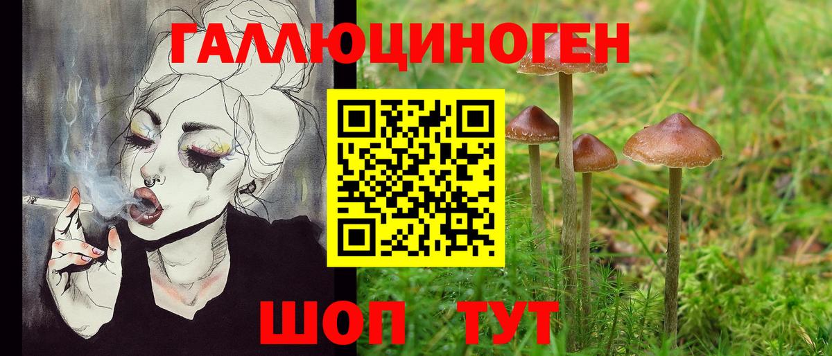 Галлюциногенные грибы Magic Shrooms Кострома